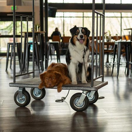 The Block Hotel & Commons Silverthorne Luaran gambar